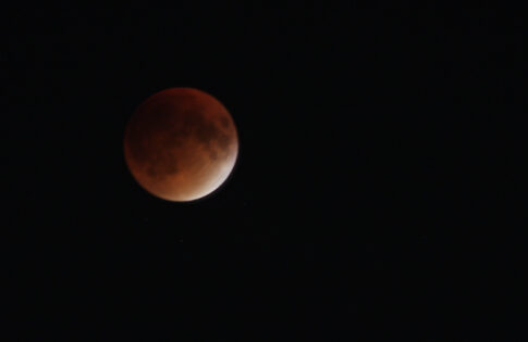 Crowd Gathers on Old Court Road to View Super Moon Lunar Eclipse