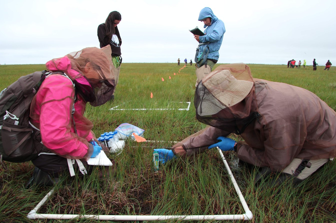 Park’s ISAMR Program Travels to Northern Canada for Annual Climate Change Research
